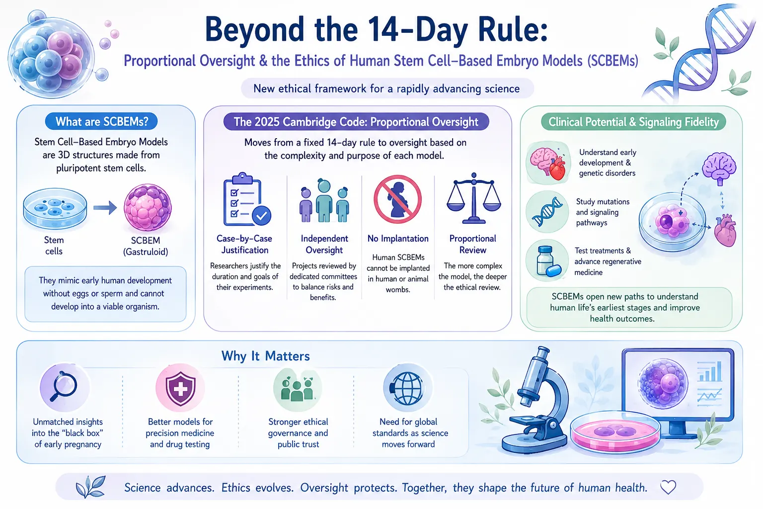Beyond the 14-Day Rule: Proportional Oversight and the Ethics of Human Stem Cell-Based Embryo Models (SCBEMs)