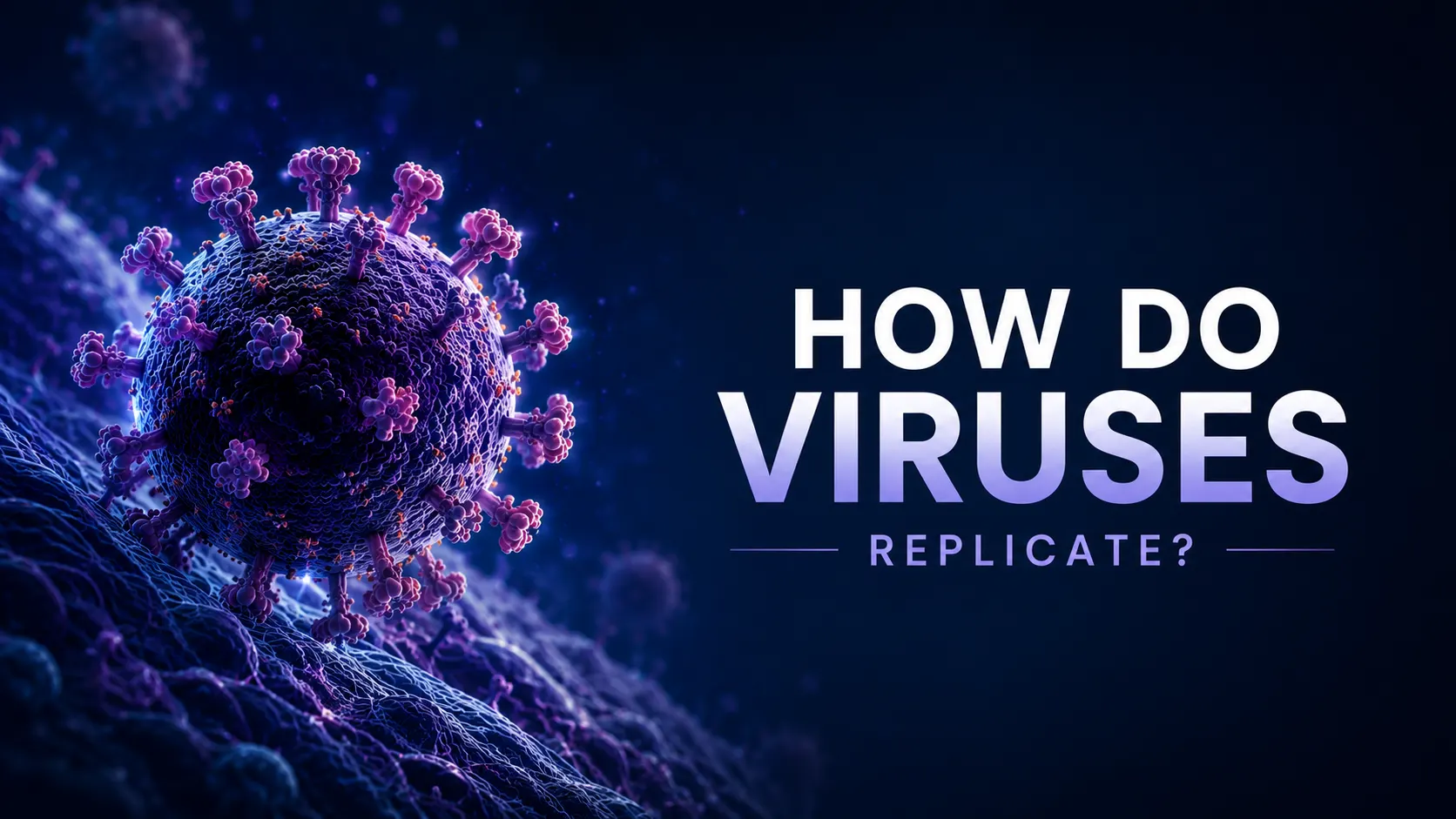 How Do Viruses Reproduce? Understanding the Viral Life Cycle
