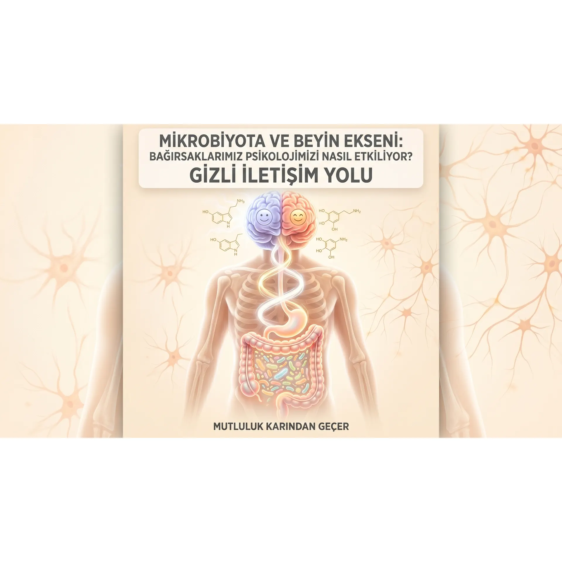 Mikrobiyota ve Beyin Ekseni: Bağırsaklarımız Psikolojimizi Nasıl Etkiliyor? kapak görseli