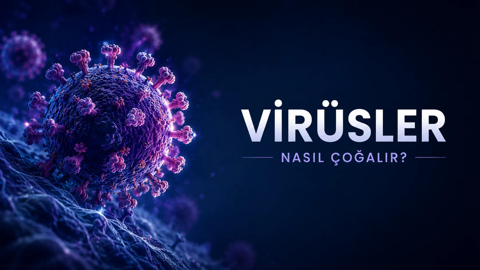 Virüsler Nasıl Çoğalır? Virüslerin Yaşam Döngüsü Nasıl İşler? görseli